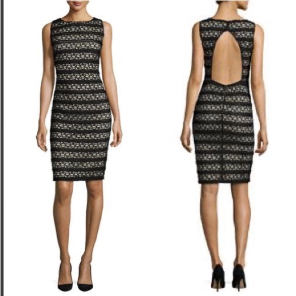 NWT ALICE + OLIVIA Elegant Black Lace Open Back Dress 4